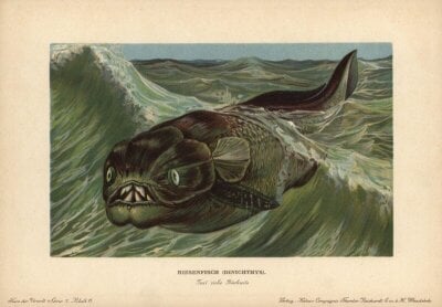 Illustrasjon av prehistorisk fisk i havet.