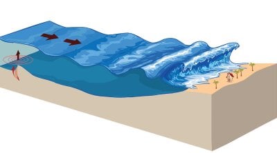 Illustrasjon av hvordan en Tsunami oppstår.