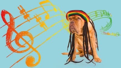 hund med reggaelue og lange dreads, mot en blå bakgrunn med noter på