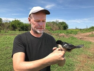 Bilde av forsker Arild Johnsen som holder en fugl