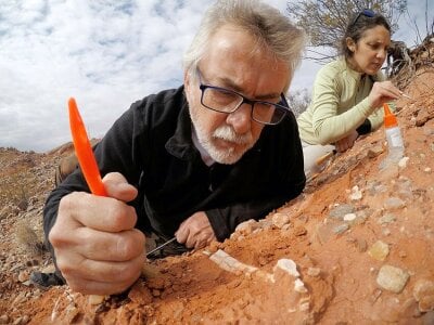 To argentinske paleontologer som graver ut fossilet av kjempedinosauren Ingentia Prima.