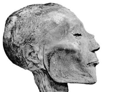 Mumufisert hode i profil med mange små prikker i ansiktet