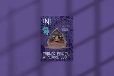 Forsiden til Nysgjerrigper-bladet med bilde av en fisk og teksten Trener fisk til å plukke lus