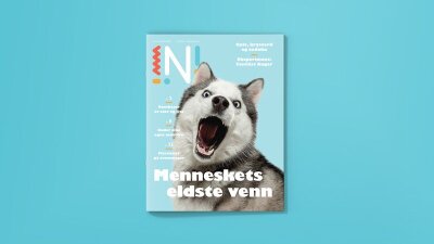 Forsiden til Nysgjerrigper 4-2020 med en hund
