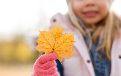 En jente holder frem et blad så man kan se kapillærene som strekker seg utover bladet.